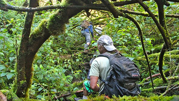 Off the beaten track in Hawaii