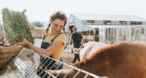 We need more women driving agri-food innovation