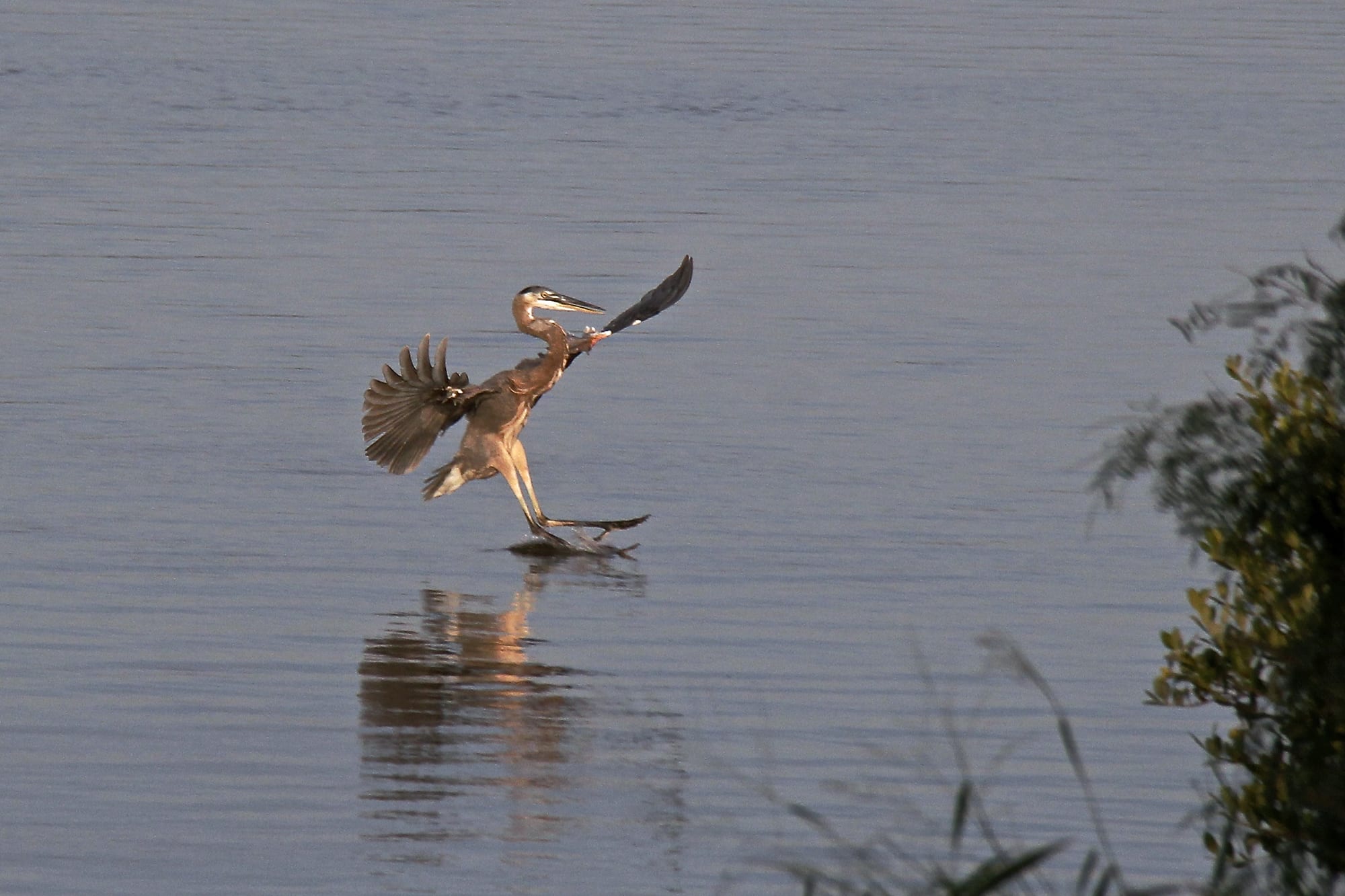 An elegant landing