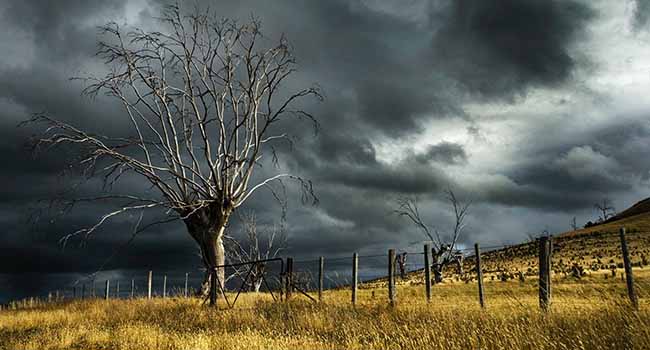 A perfect economic storm for Alberta