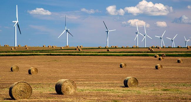 Investing in green future easier said than done for Alberta