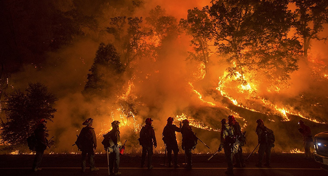 As California burns, so does our winter lettuce