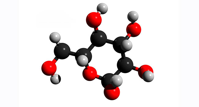 Sugar molecules in lungs linked with risk of death from influenza