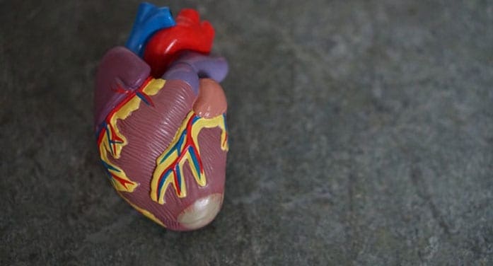 Researchers pinpoint genetic defects that cause heart failure