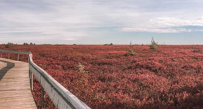 New Brunswick’s Acadia region a hidden gem