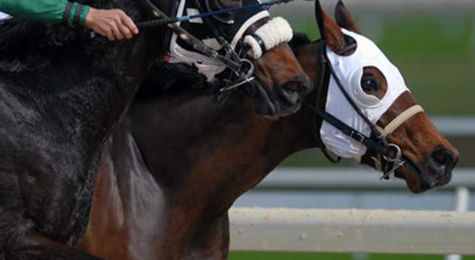 Rich Strike strikes it rich at the Kentucky Derby