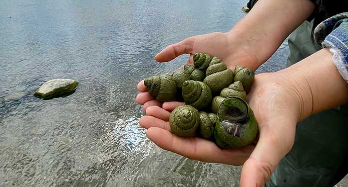 Containment key to managing invasive species in Alberta lake: study