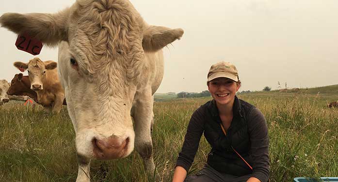 Plant diversity minimally affected by intensive cattle grazing: study