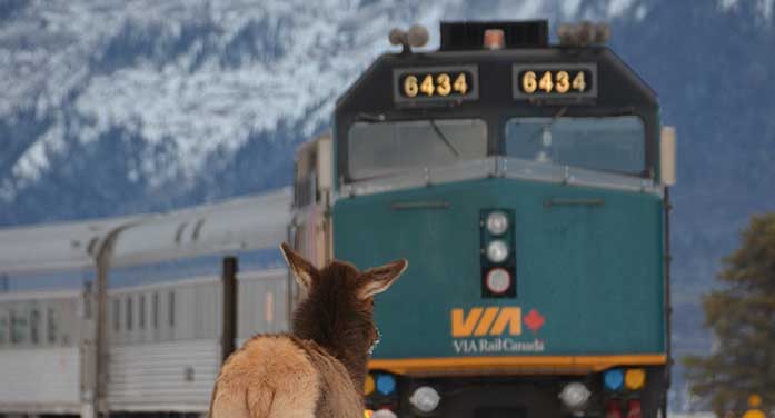 Via Rail should be shut down or sold by the federal government