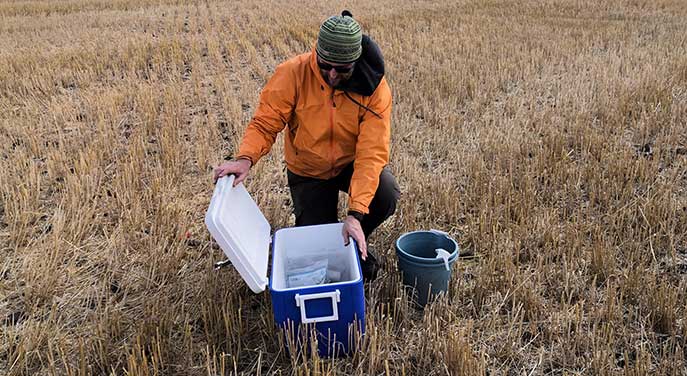 New soil database will help Alberta farmers plot out sustainable practices