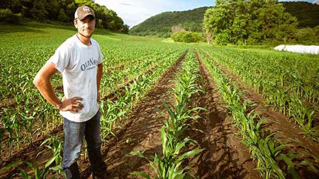 Europe’s agricultural uprising is a warning for Canada