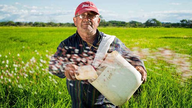 Research aims to boost mental health support for farmers