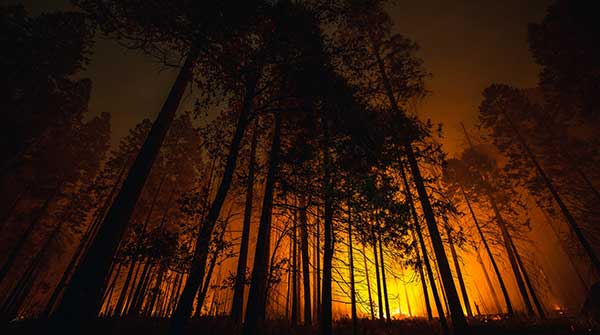 How the Canadian wildfires are viewed from abroad