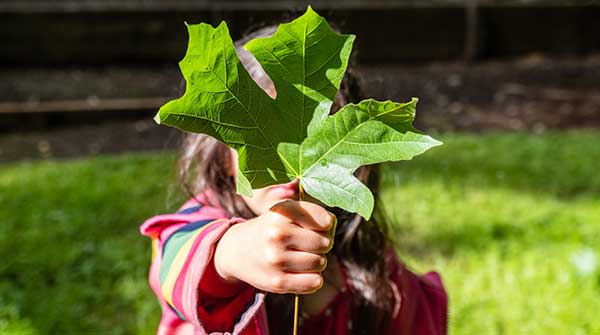 The growing impact of climate change on Canadian diets