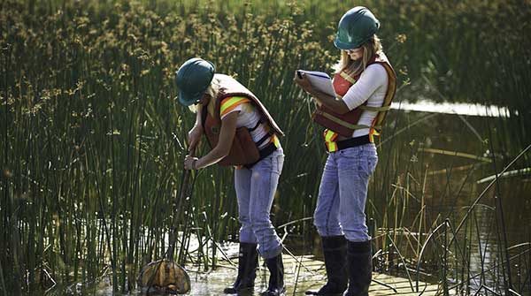 Wetlands spontaneously forming in reclaimed oil sands boreal forest