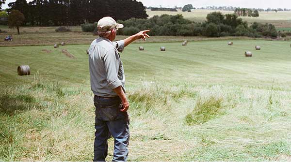 Is Roundup really carcinogenic?