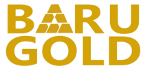 Baru Gold Corp. Adopts Shareholder Rights Plan