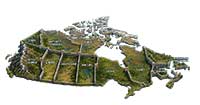 Provinces still block internal trade in Canada despite new alcohol deals. Discover how supply management and local regulations cost households hundreds annually